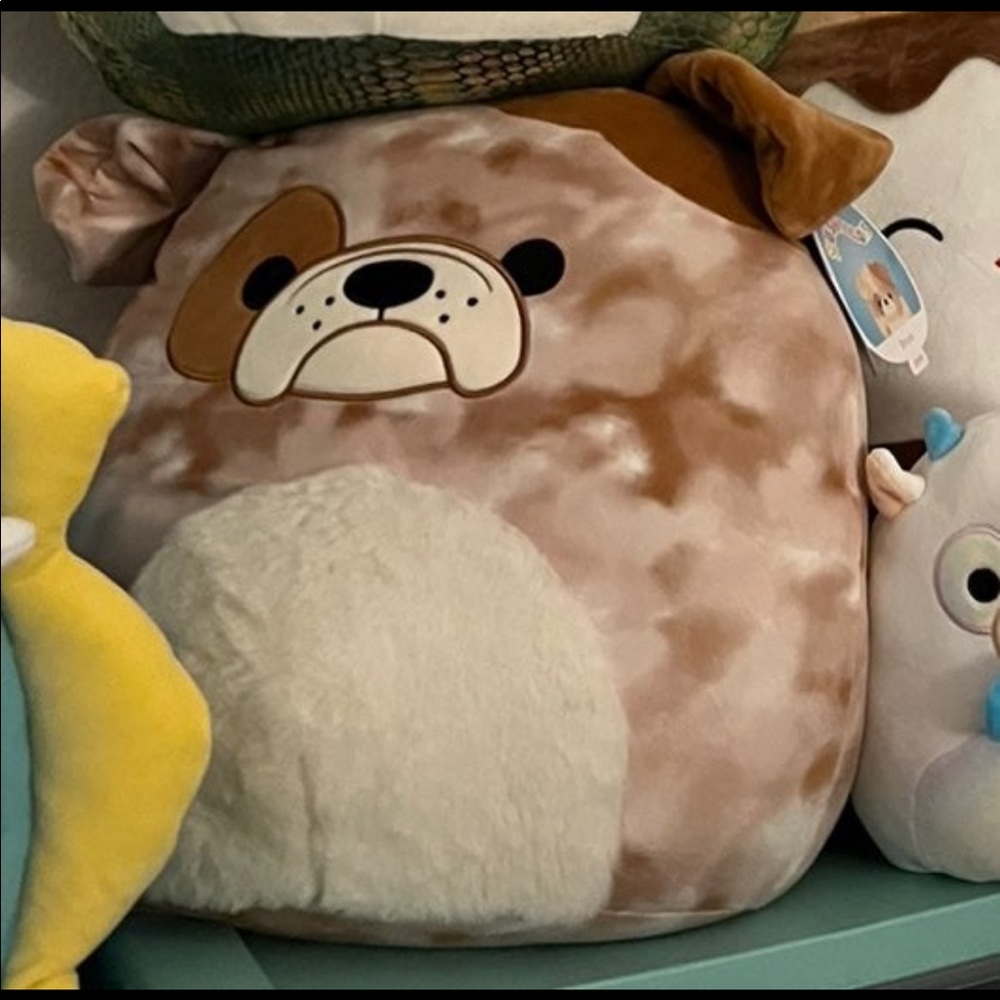 Squishmallow Bronk